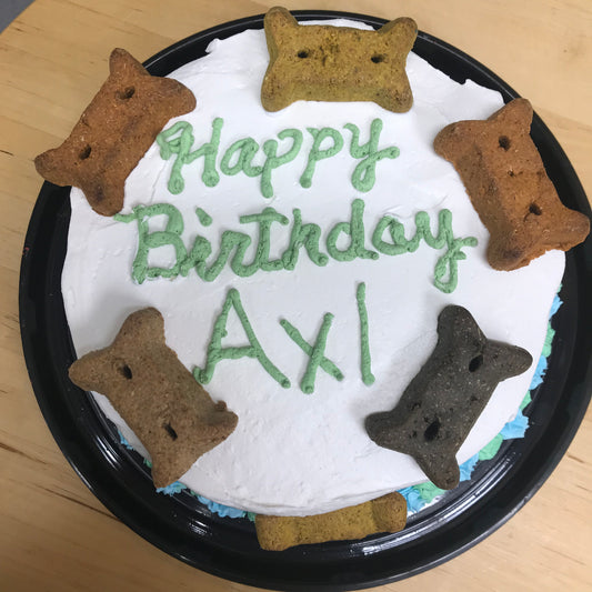 Ice Cream Cake for Puppy!